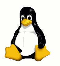 Tux, il pinguino simbolo di Linux